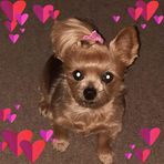 Profile Picture of Sherri Edwards Brooks (@sherri.brooks.31) on Facebook