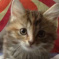 Profile Picture of Michael Witter (@michael-witter-19) on Quora