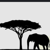 Profile Picture of Ian Dsouza (@iandsouza5050) on Youtube