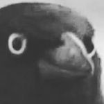 Profile Picture of Caden Bierbaum (@boi_with_de_problems) on Instagram