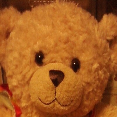 Profile Picture of Pamela Herold (@Not_a_care_bear) on Twitter