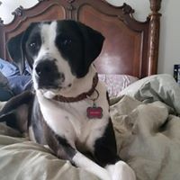 Profile Picture of Shawn Mccloud Combs (@shawn-mccloud-combs) on Quora