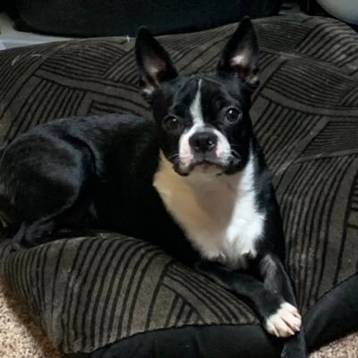 Profile Picture of PaganGMax10 (@PaganGMax10) on Twitter