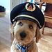 Profile Picture of Adam Higham (@adamh0852) on Pinterest