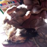 Profile Picture of giselle valdivia (@valdivia.giselle) on Instagram