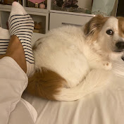 Profile Picture of Marilyn Melo (@marilynmelo459) on Youtube