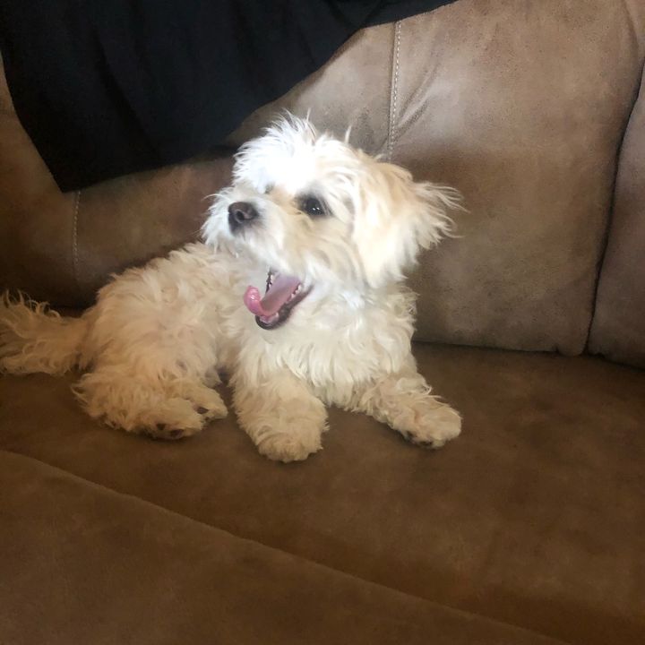 Profile Picture of aydenjester2013 (@aydenjester) on Tiktok