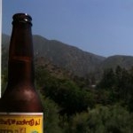 Profile Picture of Joseph Gianni (@gianni7777) on Instagram