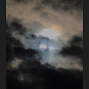 Profile Picture of Joel Isaacs (@joelisaacs1623) on Youtube