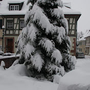 Profile Picture of Daniel Doll (@danieldoll3172) on Youtube