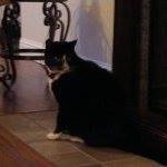 Profile Picture of George Holsworth (@george.holsworth) on Facebook