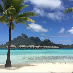 Profile Picture of Cindy Barthet-Barateig (@cindybarthet) on Pinterest