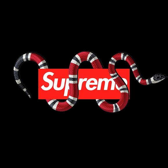 Profile Picture of Ryan Mattel (@itzryan003) on Poshmark