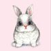 Profile Picture of The Baker bunny (@oliviamarold) on Pinterest