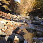 Profile Picture of Vincent Shek (@ustvincent) on Instagram