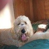 Profile Picture of Sean Clancey (@sean-clancey-6) on Quora