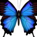 Profile Picture of Sharon Castner (@sharon.castner.3) on Facebook