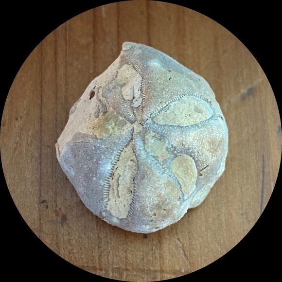 Profile Picture of Jessica Kirby (@jbirdlanding) on Poshmark