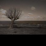 Profile Picture of leo.byrd (@leo.byrd) on Instagram