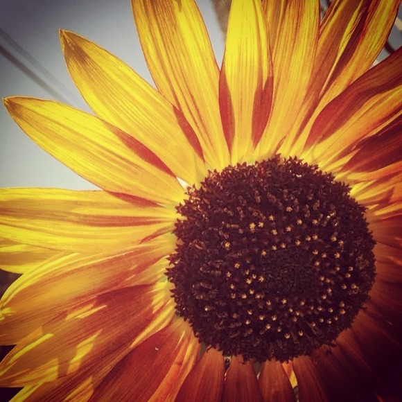 Lindsey Lomanto - Poshmark Profile Picture of Lindsey Lomanto (@lindseylomanto) on Poshmark