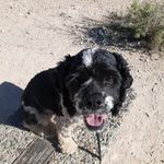 Profile Picture of Denise Sledzinski (@denise.9155) on Instagram