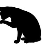 Profile Picture of Jeff Manley (@koaz_judovines) on Instagram