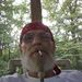Profile Picture of Larry Grammer (@larrygrammer7) on Pinterest