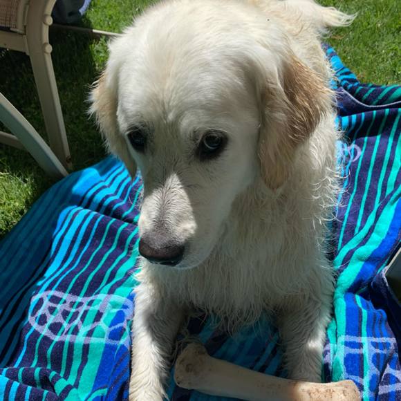 Profile Picture of Alexis Lemke (@alexis_lemke) on Poshmark