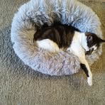 Profile Picture of Christine Mcfarlane (@christine.mcfarlane.1042) on Facebook