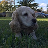 Profile Picture of Ethan Wilder (@ethan-wilder-12) on Quora