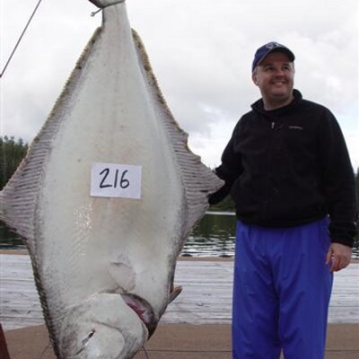 Profile Picture of Matthew Latimer (@mattimer) on Twitter