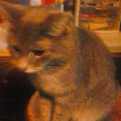 Chris Held - Youtube Profile Picture of Chris Held (@chrisheld8234) on Youtube