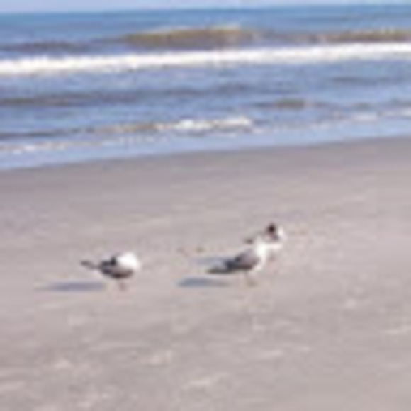 Profile Picture of Kimberly Slattery (@kimberlyslat168) on Poshmark