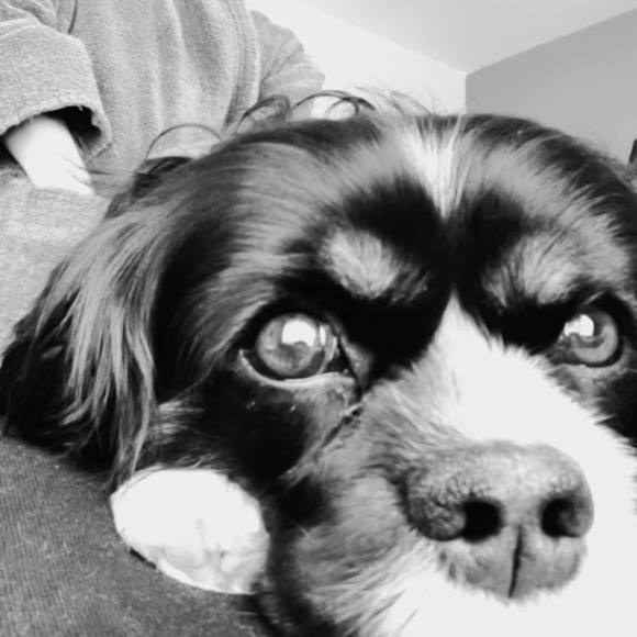 Profile Picture of Julie Philippon (@philipponjulie) on Poshmark