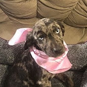 Profile Picture of Jeff Tabb (@Tabber20011) on Youtube