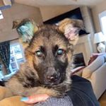 Profile Picture of Athena Luna Roberts (@athenalunaroberts) on Instagram
