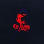 ChRiS GaLeAnA - Instagram Profile Picture of ChRiS GaLeAnA (@chri_519) on Instagram