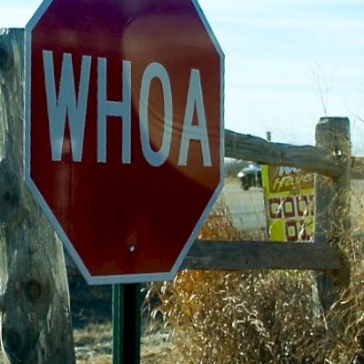 Profile Picture of brian schild (@culinar1) on Twitter