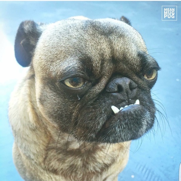 Kim Wallis - Poshmark Profile Picture of Kim Wallis (@kk41476) on Poshmark