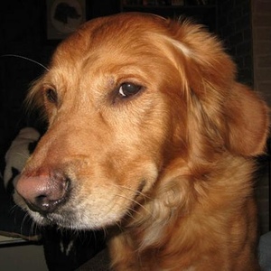 Profile Picture of Robert Schmidtbauer (@hatchetcreek) on Myspace