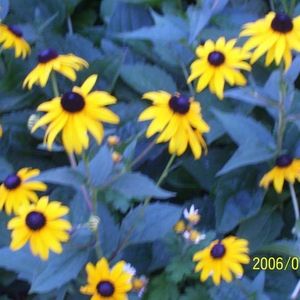 Profile Picture of Halie Altaffer (@halie_joe_roxs) on Myspace