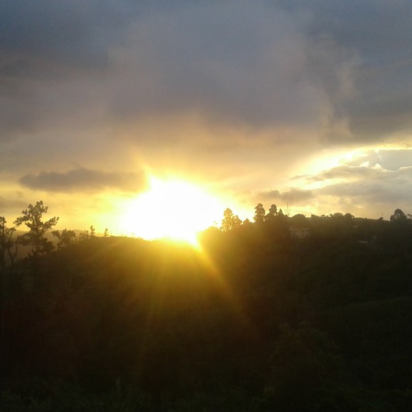 Profile Picture of Glendalee Febus (@glendaleefebus5) on Poshmark