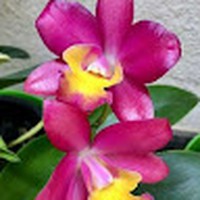 Profile Picture of Martin Anton (@martin-anton-2) on Quora