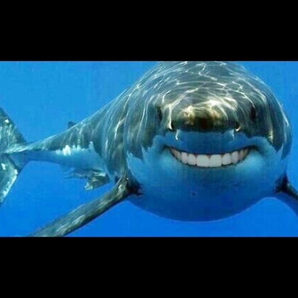 Profile Picture of Synara Synara (@synara) on Poshmark