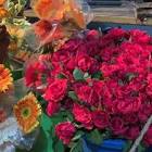 Profile Picture of   palakpamnani... (@palakpamnani) on Tiktok