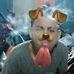 Profile Picture of Cesar Jacome (@cesar.jacome.944) on Facebook