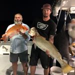 Profile Picture of Ryan Tozer (@tozer_492) on Instagram