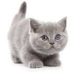 Rita Calle - Facebook Profile Picture of Rita Calle (@Rita-Calle) on Facebook