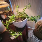 Profile Picture of Trudy Groves (@trudy.groves.967793) on Facebook