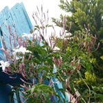 Profile Picture of Nathan Lewin (@natelewin) on Instagram